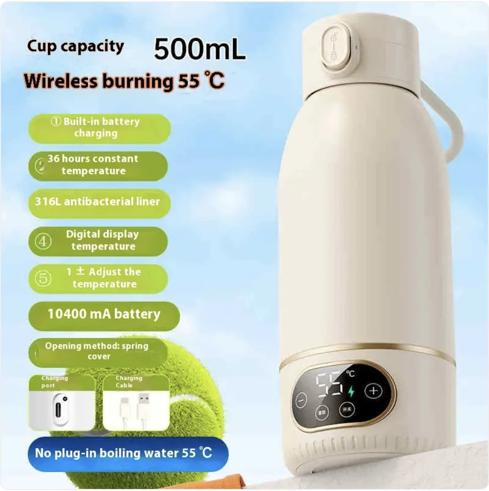 Portable Electric Kettle